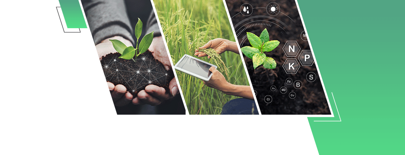 Workforce Strategies for Tech-Driven Agri Businesses