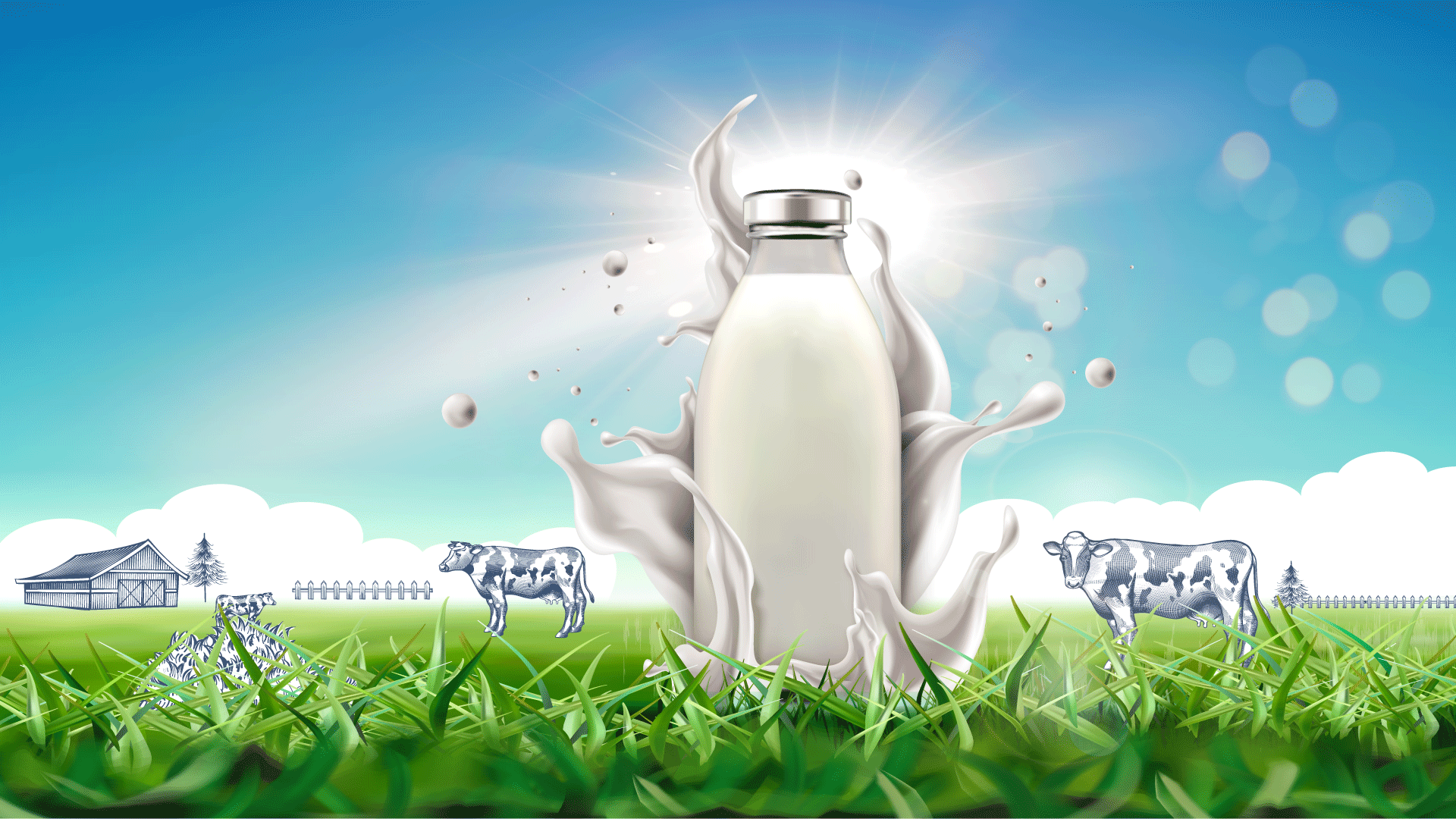 Smooth Transition and Streamlined Operations for a Leading Milk Producer