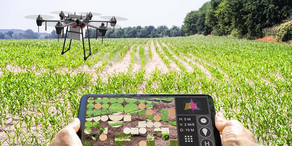 The Digital Shift in Agriculture: Transforming Rural Job Opportunities