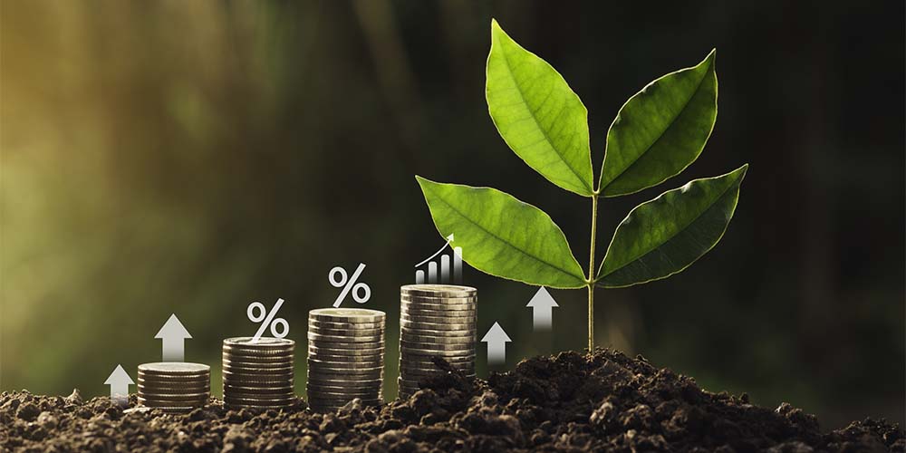 Moderate wage growth for women in contractual roles